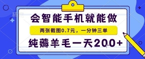 手机项目，二十秒一单，纯薅羊毛一天2张+做就有【揭秘】-网创项目总站
