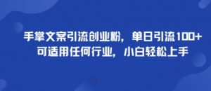 手掌文案引流创业粉，单日引流100+，可适用任何行业，小白轻松上手-网创项目总站