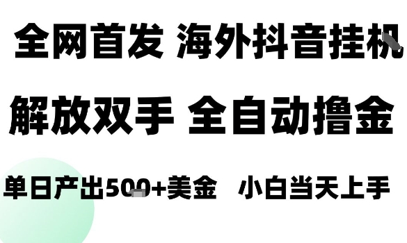海外抖音无人直播，单日产出1.5k+，长期稳定，新手可玩，无脑操作【揭秘】-网创项目总站