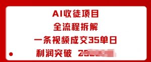 AI收徒项目全流程拆解一条视频成交35单日利润突破1k+-网创项目总站
