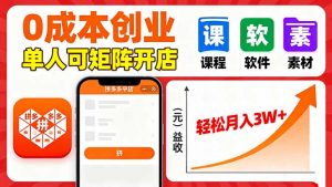 拼多多虚拟电商，0成本，单人可矩阵开店，轻松月入3W+-网创项目总站