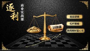 《逐 利》商业实战课，底层逻辑、杠杆策略、18锦囊，跨周期财富心法-网创项目总站