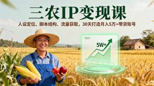 三农IP变现课，人设定位、脚本结构、流量获取，30天打造月入5万+带货账号-网创项目总站