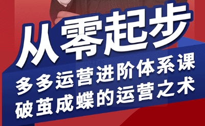 拼多多运营进阶系统课，从零起步，多多运营进阶体系课，破茧成蝶的运营之术(更新9月)-网创项目总站
