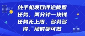 纯手机项目评论截图任务，两分钟一块钱多劳多得，随时随地都能做【揭秘】-网创项目总站