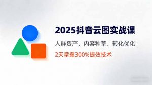2025抖音云图实战课，人群资产、内容种草、转化优化，2天掌握300%提效技术-网创项目总站