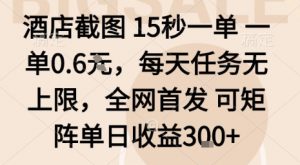 酒店截图15秒一单，一单0.6米，每天任务无上限，全网首发可矩阵单日收益3张【揭秘】-网创项目总站