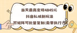 当天最高变现1k+，抖音私域新玩法，可矩阵可批量复制-网创项目总站