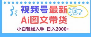 视频号最新AI图文带货，每天几分钟，小白轻松入手，日入2000+-网创项目总站