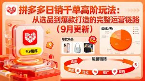 拼多多日销千单高阶玩法：从选品到爆款打造的完整运营链路(9月更新-网创项目总站