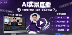 宝子哥9月20日线下课，AI实景直播，不废号不焦虑(录音+字幕)-网创项目总站