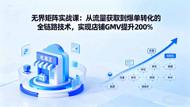 无界矩阵实战课：从流量获取到爆单转化的全链路技术，实现店铺GMV提升200%-网创项目总站