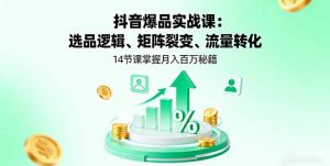 抖音爆品实战课：选品逻辑、矩阵裂变、流量转化，14节课掌握月入百万秘籍-网创项目总站