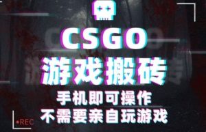 CSGO游戏挂G捡漏，单日扫货5张+，年底小高峰上车可吃肉，手机即可操作，兼职副业创业网创【揭秘】-网创项目总站