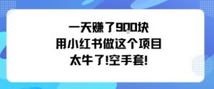 一天挣了9张用小红书做这个项目太牛了，空手套-网创项目总站
