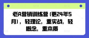 老A营销训练营(更25年10月)，轻理论，重实战，轻概念，重本质-网创项目总站