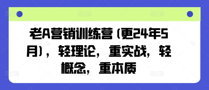 老A营销训练营(更25年10月)，轻理论，重实战，轻概念，重本质-网创项目总站