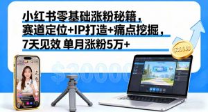 小红书零基础涨粉秘籍，赛道定位+IP打造+痛点挖掘，7天见效 单月涨粉5万+-网创项目总站