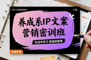 养成系IP文案营销密训班，实战中学习真高级营销-网创项目总站