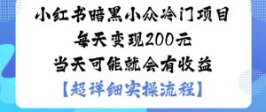小红书暗黑小众冷门项目每天变现2张当天可能就会有收益-网创项目总站