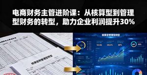 电商财务主管进阶课：从核算型到管理型财务的转型，助力企业利润提升30%-网创项目总站