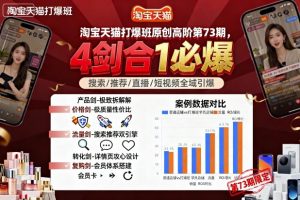 淘宝天猫打爆班原创高阶第73期，4剑合1必爆-网创项目总站