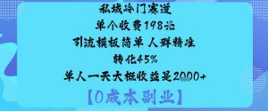 私域冷门赛道:单个收费198米引流模板简单人群精准转化45%单人一天大概收益是1k+-网创项目总站