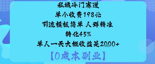 私域冷门赛道:单个收费198米引流模板简单人群精准转化45%单人一天大概收益是1k+-网创项目总站