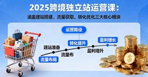 2025跨境独立站运营课：涵盖建站搭建、流量获取、转化优化三大核心模块-网创项目总站