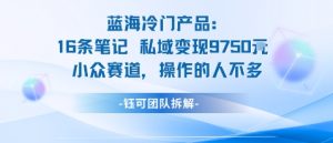 蓝海项目：16条笔记私域变现9750米小众赛道操作的人不多-网创项目总站