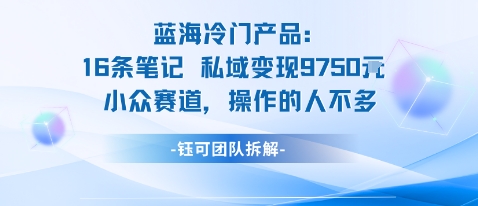 蓝海项目：16条笔记私域变现9750米小众赛道操作的人不多-网创项目总站