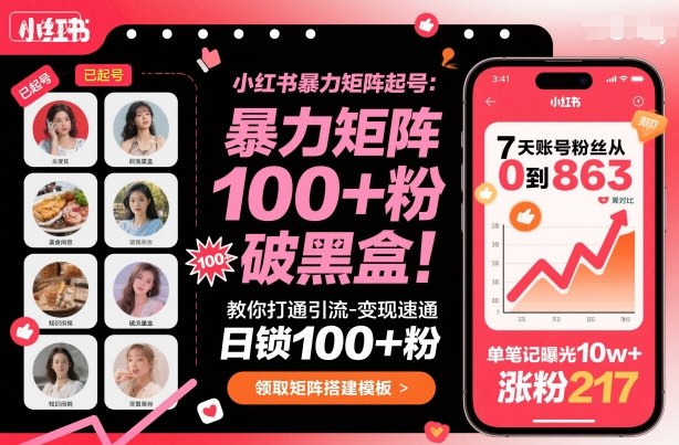 小红书暴力矩阵起号，教你打通引流-变现速通，日锁100+粉，破流量黑盒-网创项目总站