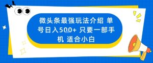 微头条最强玩法介绍一个号日入5张+只要一部手机适合小白-网创项目总站