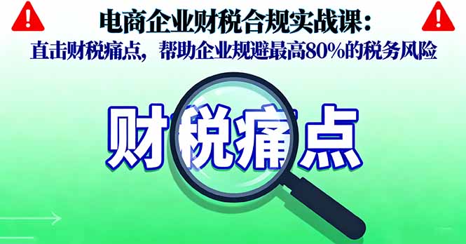 电商企业财税合规实战课，直击财税痛点，帮助企业规避最高80%的税务风险-网创项目总站