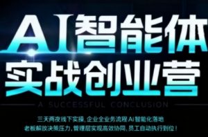 AI智能体实体战创业营(深圳9月23-25日)，多维度助力老板、管理层、员工提升效能-网创项目总站