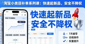 淘宝小类目补单系列课，快速起新品，安全不降权-网创项目总站
