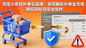 淘宝小类目补单实战课：系统解析补单全流程、降权风险及安全操作-网创项目总站