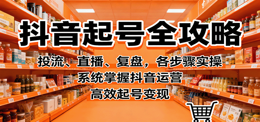 抖音起号全攻略，投流、直播、复盘，各步骤实操，系统掌握抖音运营，高效起号变现-网创项目总站