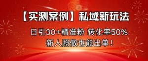【实测案例】私域新玩法，日引30+精准粉，转化率50%，新人照做也能出单！-网创项目总站