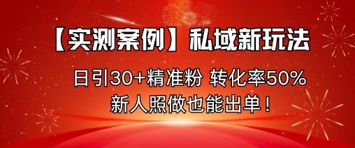 【实测案例】私域新玩法，日引30+精准粉，转化率50%，新人照做也能出单！-网创项目总站