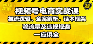 视频号电商实战课：推流逻辑、全案解析，话术框架，稳流量及违规规避等-网创项目总站