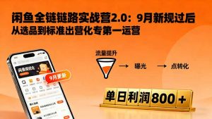 闲鱼变现课3.0：掌握链接优化、流量提升、商业变现，单日利润800+-网创项目总站