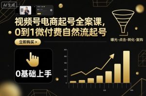 视频号电商起号全案课，0到1微付费自然流起号-网创项目总站