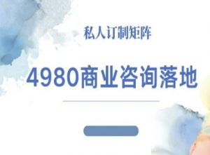 4980商业咨询师落地课程-ip运营高客单教程-网创项目总站