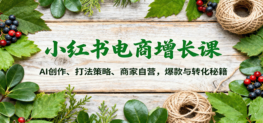 小红书电商增长课：AI创作、打法策略、商家自营，爆款与转化秘籍-网创项目总站