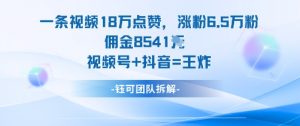 一条视频18W点赞，涨粉6.5W粉佣金8541米，视频号+抖音=王炸-网创项目总站