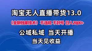 淘宝无人直播13.0，公域私域技术，不封号，不违规布局下半年旺季赛道，日入1K+(独家技术)【揭秘】-网创项目总站
