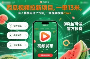 西瓜视频拉新项目，一单13米，有人悄悄用这个方法，一条视频收益2.5w+(附详细教程)-网创项目总站