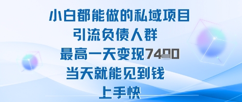 2025年小白都能做的私域项目引流负债人群最高一天变现1k+高变现难度低当天就能见到钱上手快-网创项目总站
