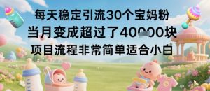 每天稳定引流30个宝妈粉当月变成超过了1W+项目流程非常简单适合小白-网创项目总站